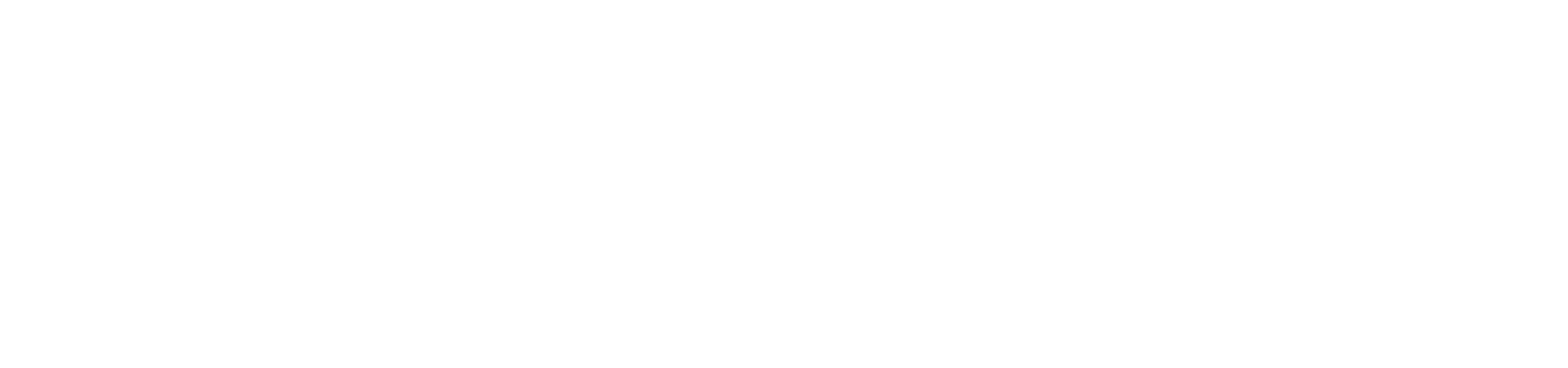 valuset-logo-beyaz